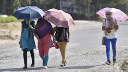 શ્રીગંગાનગર 48.2 ડિગ્રી સાથે વિશ્વનું સૌથી ગરમ સ્થળ