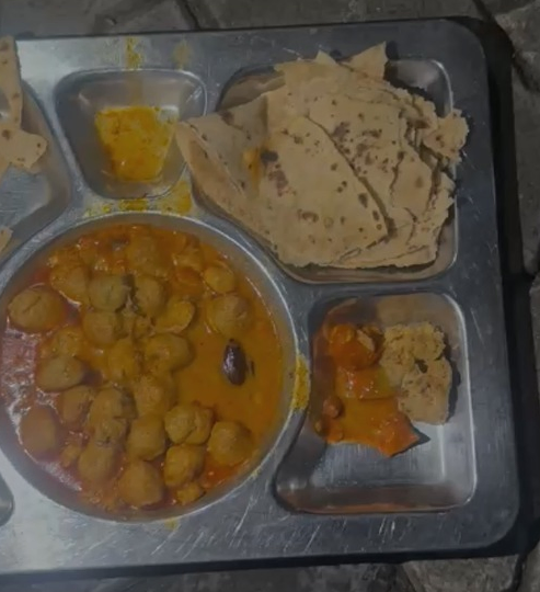 ભોજનમાંથી મરેલા વંદા નીકળતા વિદ્યાર્થીઓનો ભારે હોબાળો, શરૂ કર્યા ધરણા